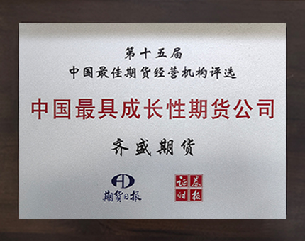 企業(yè)榮譽(yù)8